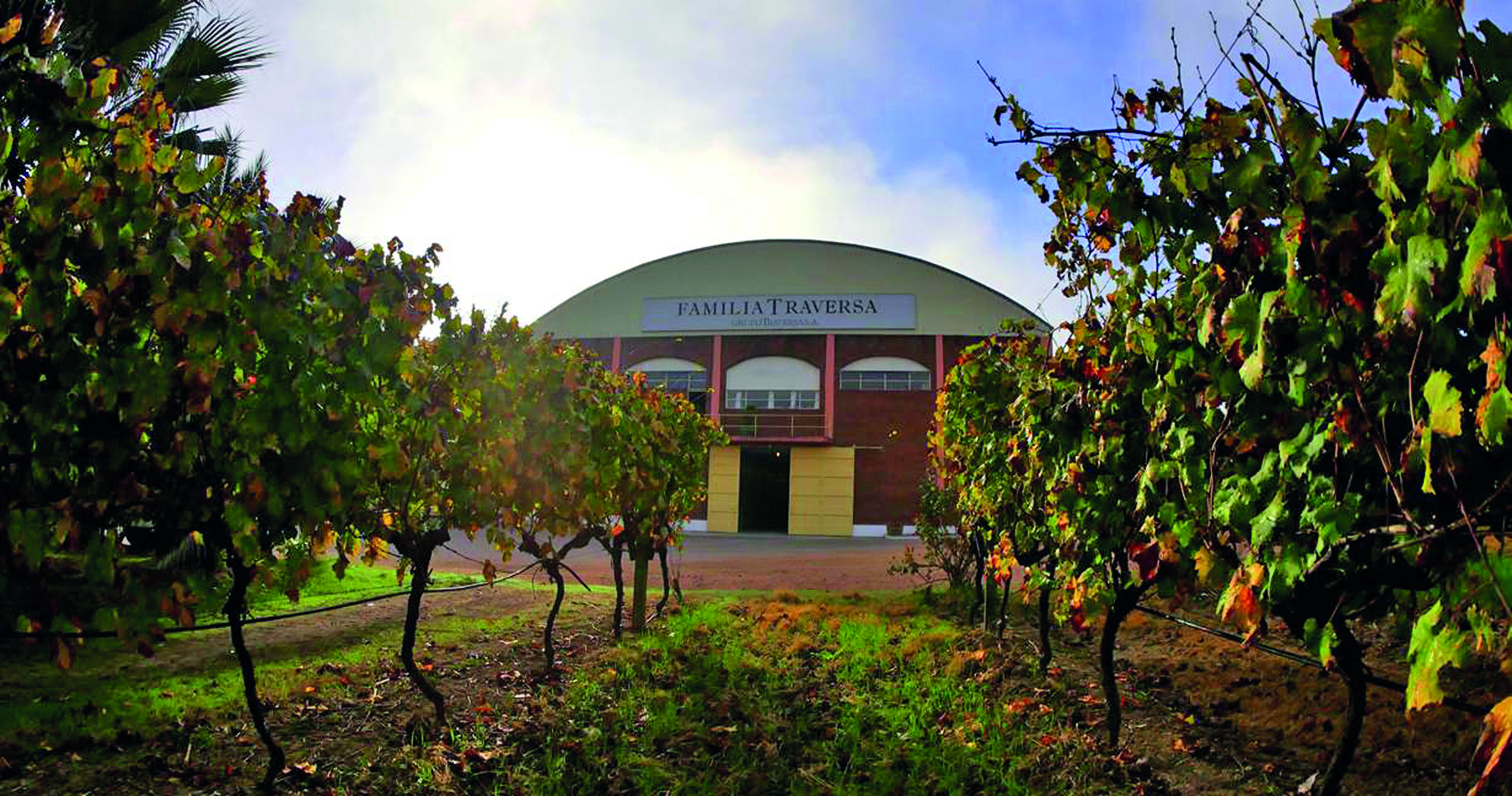 Degustacja win z Urugwaju