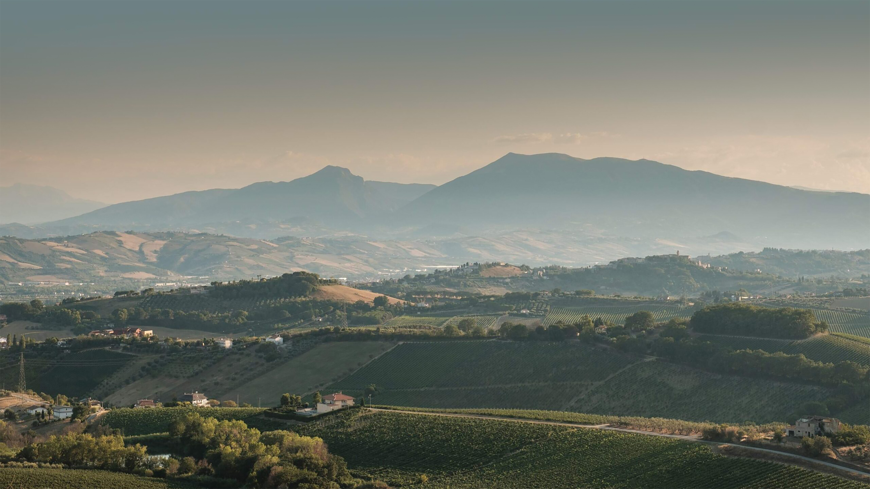 Odkrywamy Marche: Il Conte Villa Prandone
