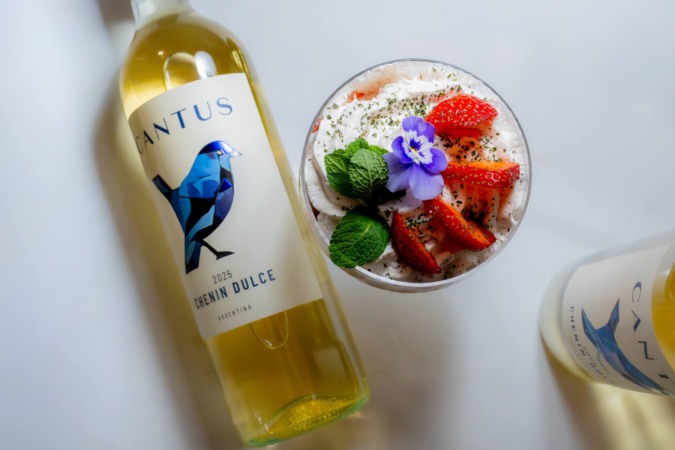 Pascual Toso – seria spotkań nie tylko z malbecem