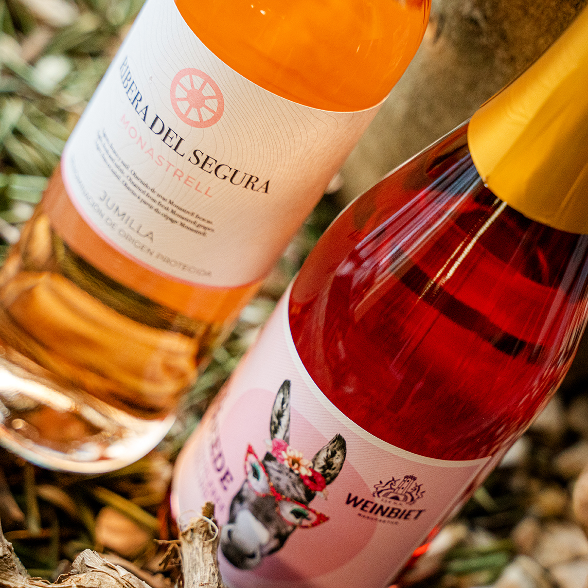 Propozycje na dzień kobiet