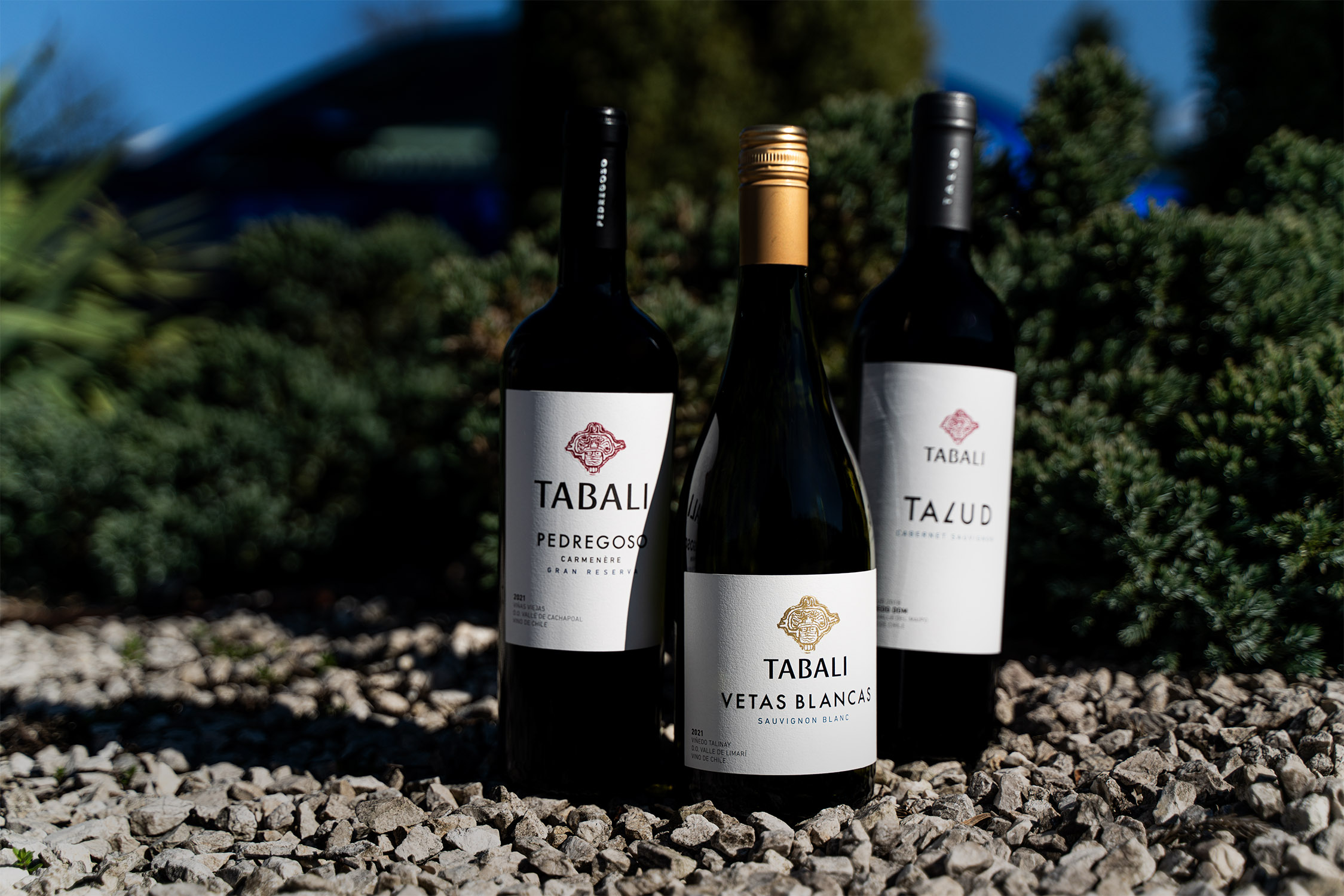 Degustacja win z Chile – Tabali (spotkanie w języku rosyjskim)