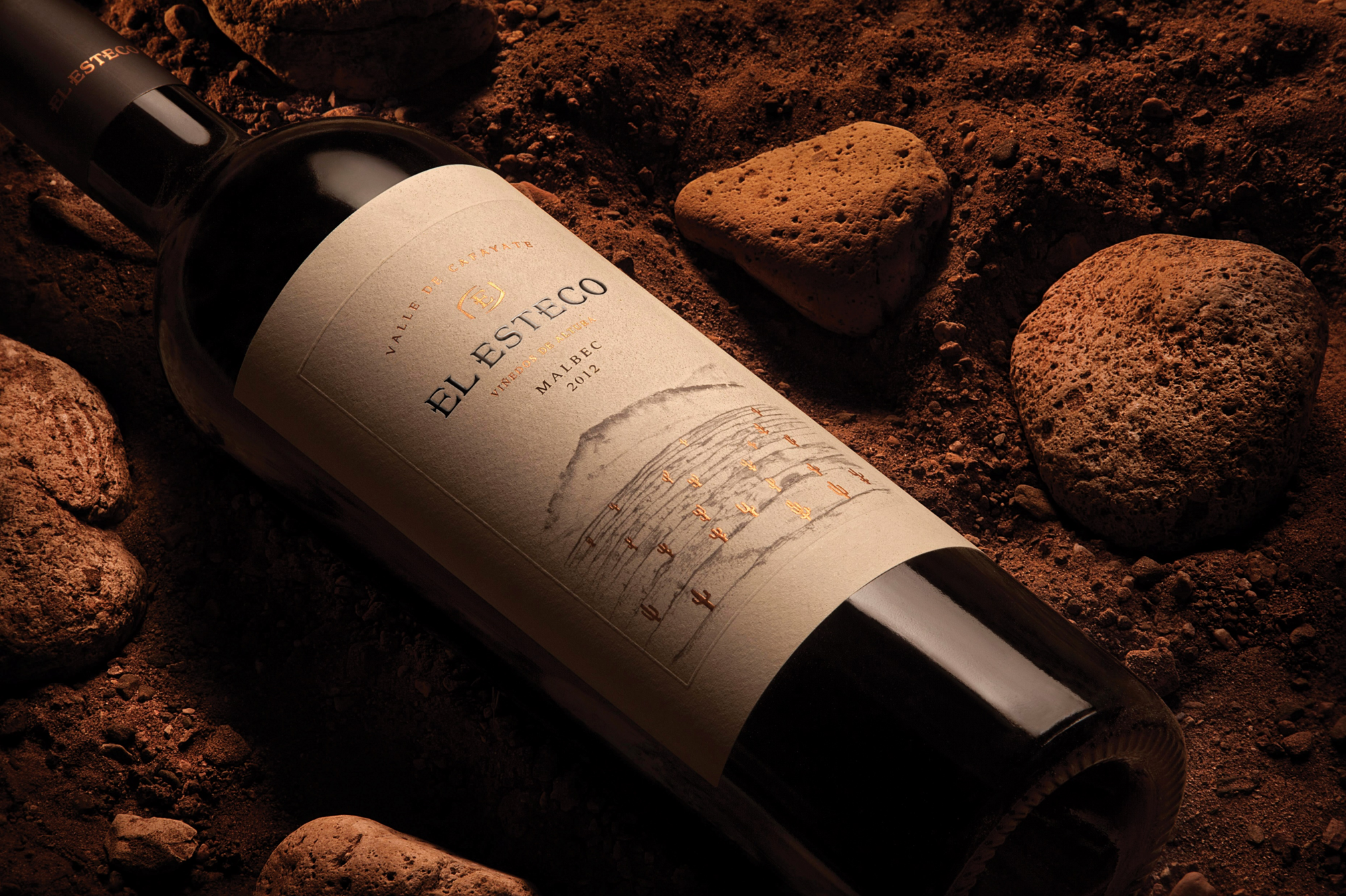 Od torrontésa do malbeca