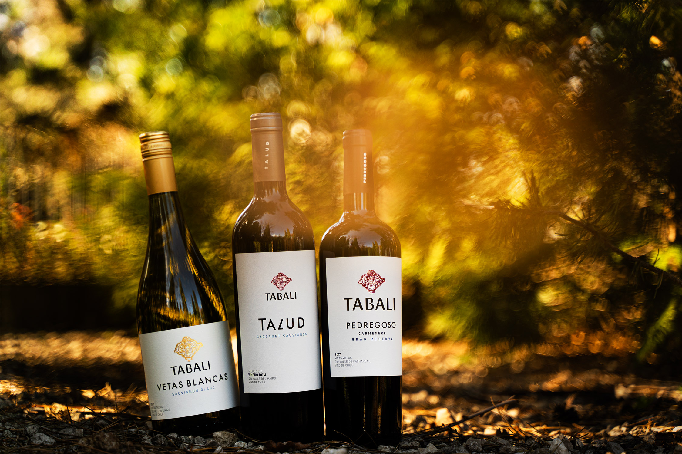 Podróż do Doliny Limari – degustacja komentowana Tabali 