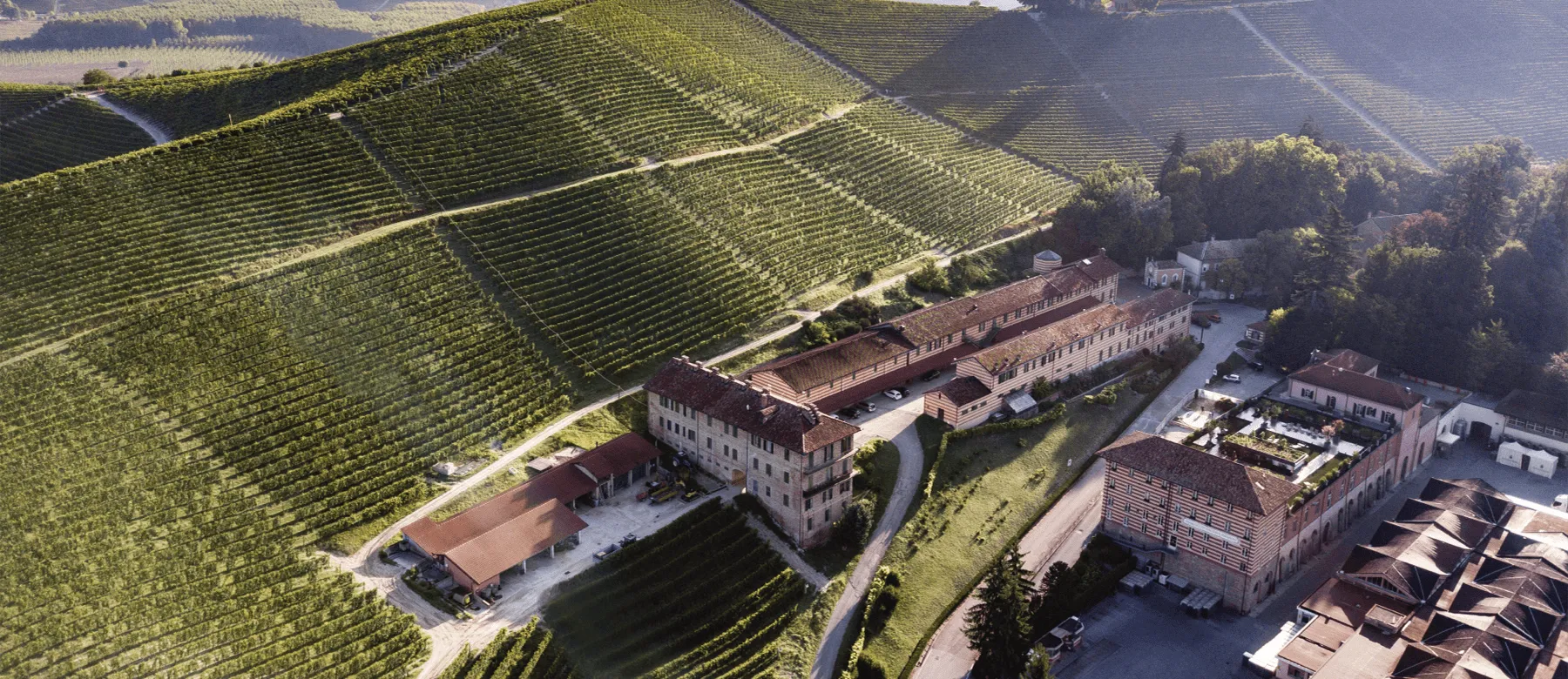 Barolo – król wina i wino królów