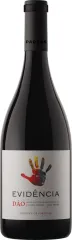 PARRAS EVIDENCIA DAO TINTO 2023 0,75