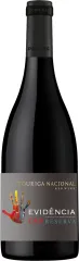 PARRAS EVIDENCIA TOURIGA NACIONAL DAO RESERVA TINTO 2021