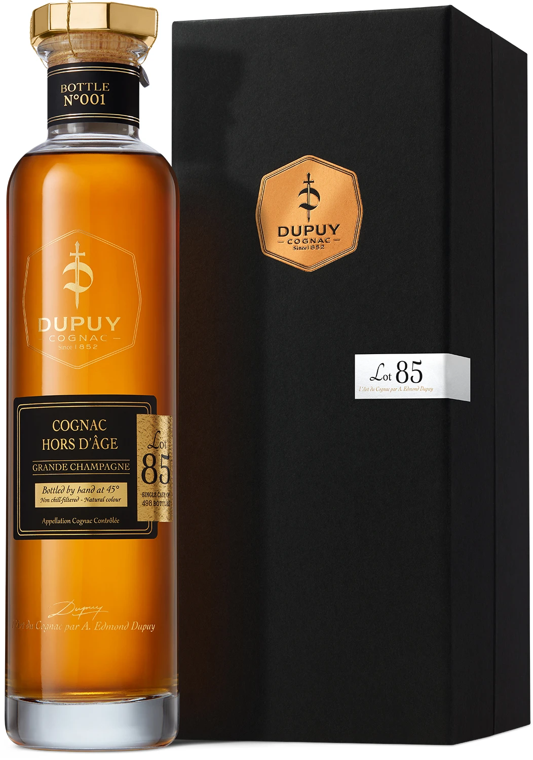 DUPUY HORS D'AGE GRANDE CHAMPAGNE 1989 45% 0,7L KARTONIK