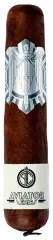PRINCIPLE THE AVIATOR COCHON VOLANT FLYING PIG D-F-20 TT