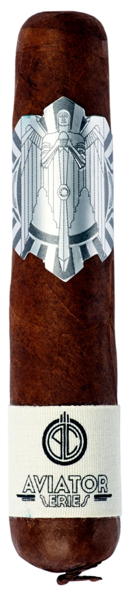 PRINCIPLE THE AVIATOR COCHON VOLANT FLYING PIG D-F-20 TT