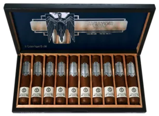 PRINCIPLE THE AVIATOR COCHON VOLANT FLYING PIG D-F-20 TT