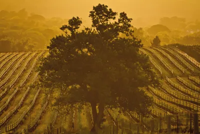 Kleine Zalze