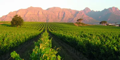 Kleine Zalze