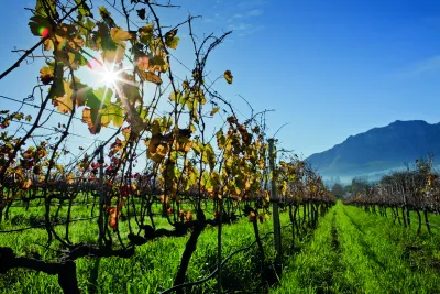 Kleine Zalze