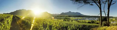 Kleine Zalze