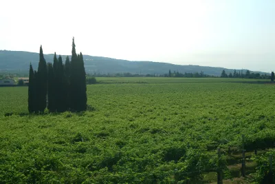 Speri