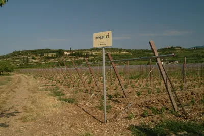 Speri