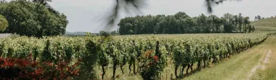 Baldès