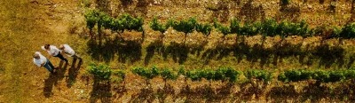 Baldès