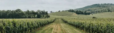 Baldès