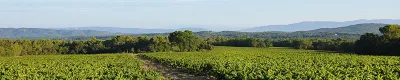 Château Barbebelle