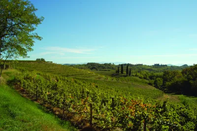 Bastianich