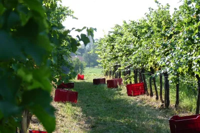 Bastianich