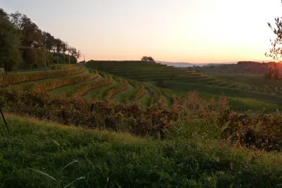 Bastianich