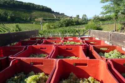 Bastianich