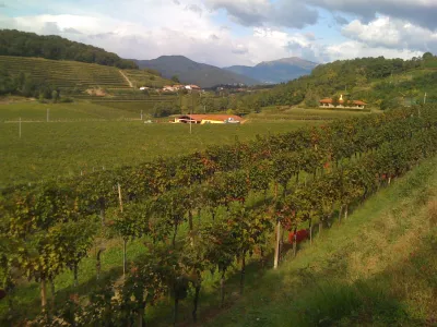 Bastianich
