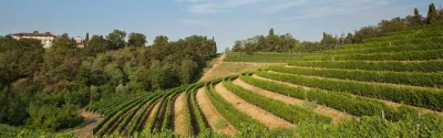 Bastianich