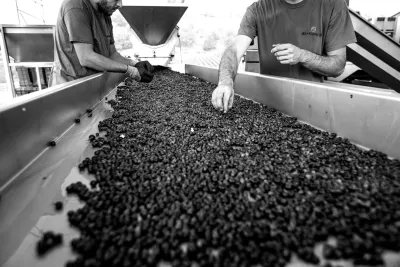 Bastianich