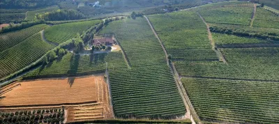 Massolino