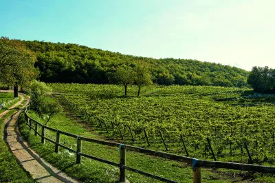 Tenuta Valleselle / Tinazzi