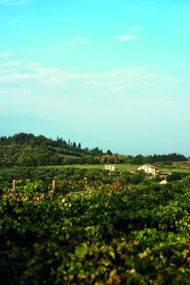 Tenuta Valleselle / Tinazzi