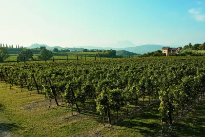 Tenuta Valleselle / Tinazzi