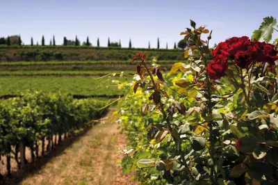 Tenuta Valleselle / Tinazzi