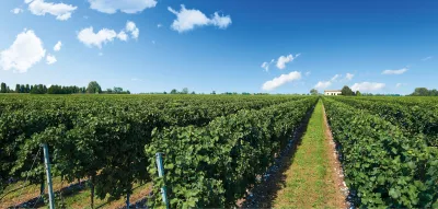 Tenuta San Giorgio