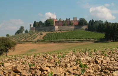 Ricasoli 1141