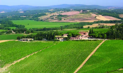 Altesino