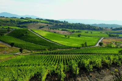 Castellare di Castellina