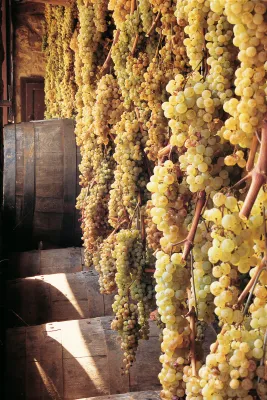 Rocca di Frassinello