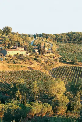 Rocca di Frassinello