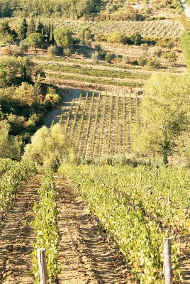 Rocca di Frassinello