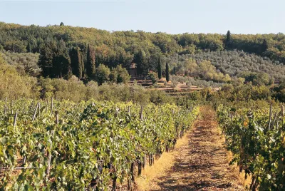 Rocca di Frassinello