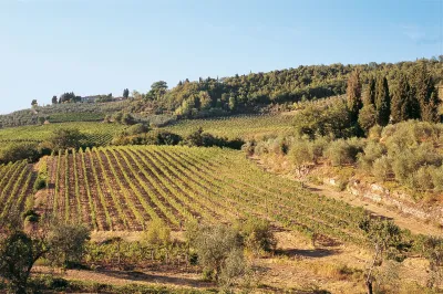 Rocca di Frassinello