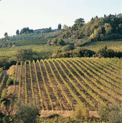Rocca di Frassinello