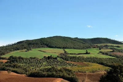 Rocca di Frassinello