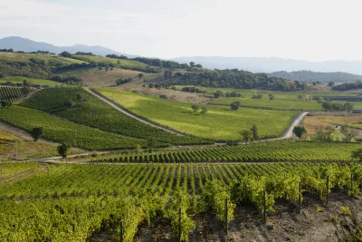 Rocca di Frassinello