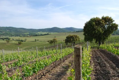 Rocca di Frassinello
