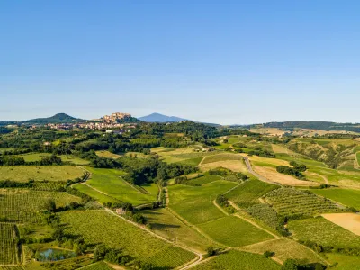 Crociani